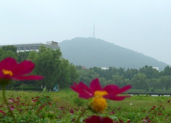 优秀必威作品——吕乐瑶《花与山》《舒展》