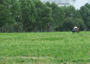 优秀必威作品——何莉《人生是旷野》